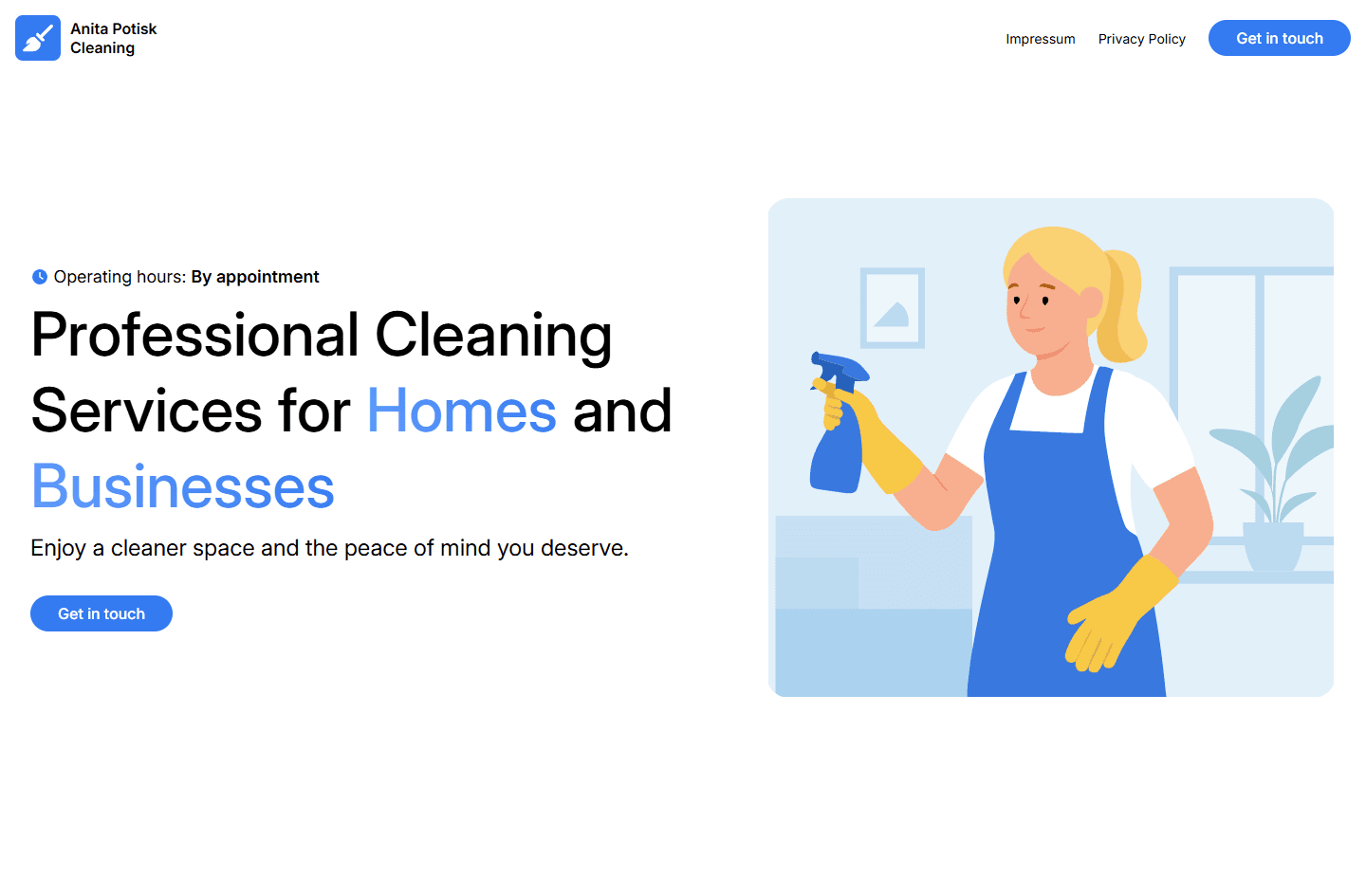 AnitaCleaning project desktop screenshot